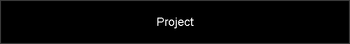 Project